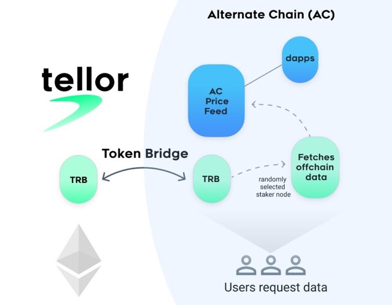 trb coin và các sản phẩm