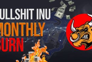 Giới thiệu về ví Bullshit Inu