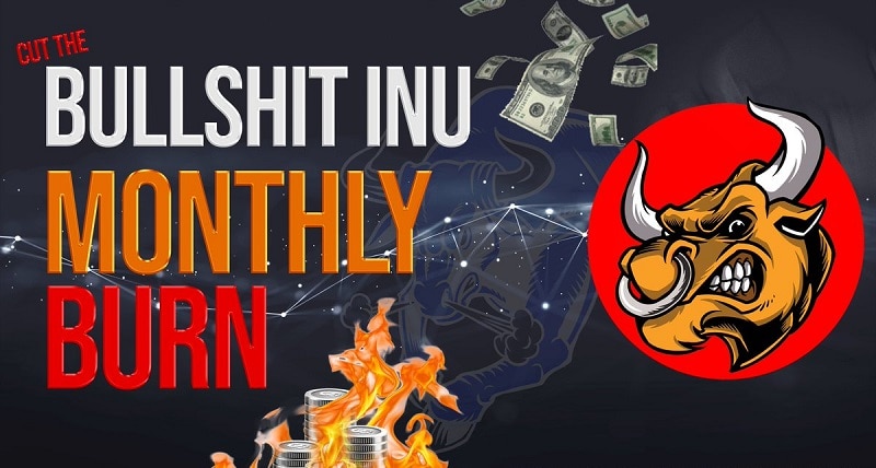 Giới thiệu về ví Bullshit Inu