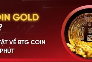 Ví Bitcoin Gold là gì?