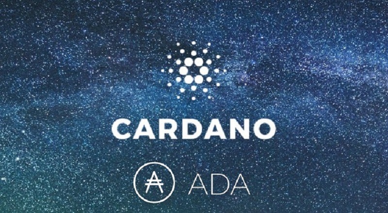 Thông tin tổng quan về ví Cardano mọi người không nên bỏ qua