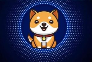 Cách hoạt động chính của BabyDoge Coin