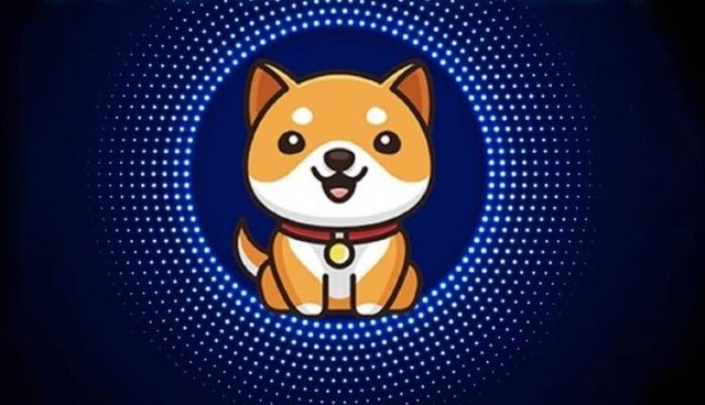 Cách hoạt động chính của BabyDoge Coin